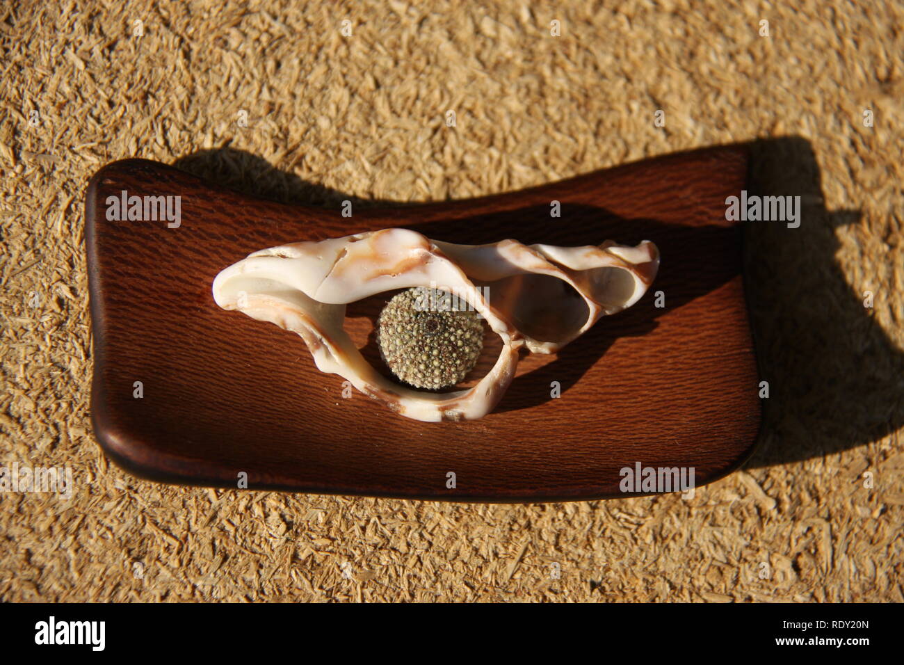 Handamde ornement de matériaux naturels trouvés sur la plage, dérive, oursin, morceaux de Seashell Banque D'Images