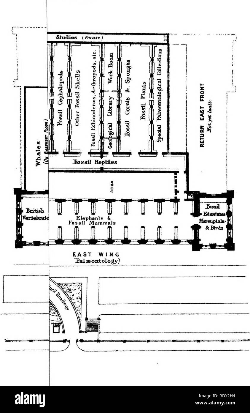 . Un guide général pour le British Museum (Natural History) ... Avec les plans et une vue sur le bâtiment. British Museum (Natural History). tllSlORY). Veuillez noter que ces images sont extraites de la page numérisée des images qui peuvent avoir été retouchées numériquement pour plus de lisibilité - coloration et l'aspect de ces illustrations ne peut pas parfaitement ressembler à l'œuvre originale.. British Museum (Natural History). Londres, imprimé par ordre de l'Administration [par W. de Clowes et Sons, Limited] Banque D'Images