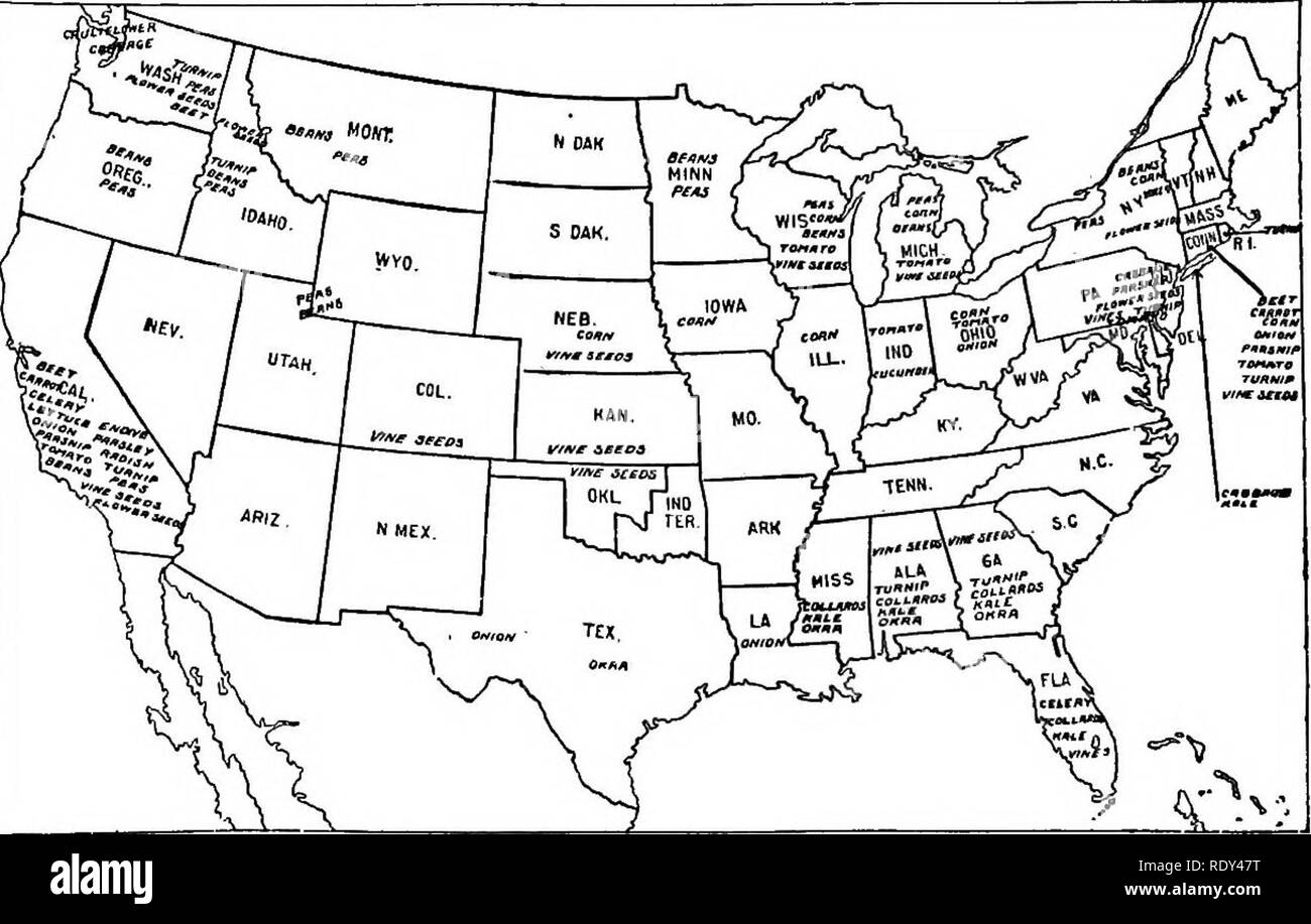 . L'horticulture ; un manuel pour les écoles secondaires et normales. Jardinage ; légumes ; fruits-culture. 16 MULTIPLICATION PAR GRAINES les mêmes cultures sont cultivées pour des fins de marché ; les tomates dans le New Jersey, New York et du Michigan. Le gombo en Géorgie, l'Alabama et du Mississippi et d'autres États du sud. La difficulté d'obtenir de bonnes graines pour le marché est fortement augmenté pour les bisannuelles, tels que le chou, chou-fleur, betterave à sucre, les betteraves et le jardin. Bien qu'une grande partie des enfants de cette classe sont venus de France, la seconde guerre mondiale, il fait nécessaire de changer la source d'approvisionnement. La Californie est venu à produire plus Banque D'Images