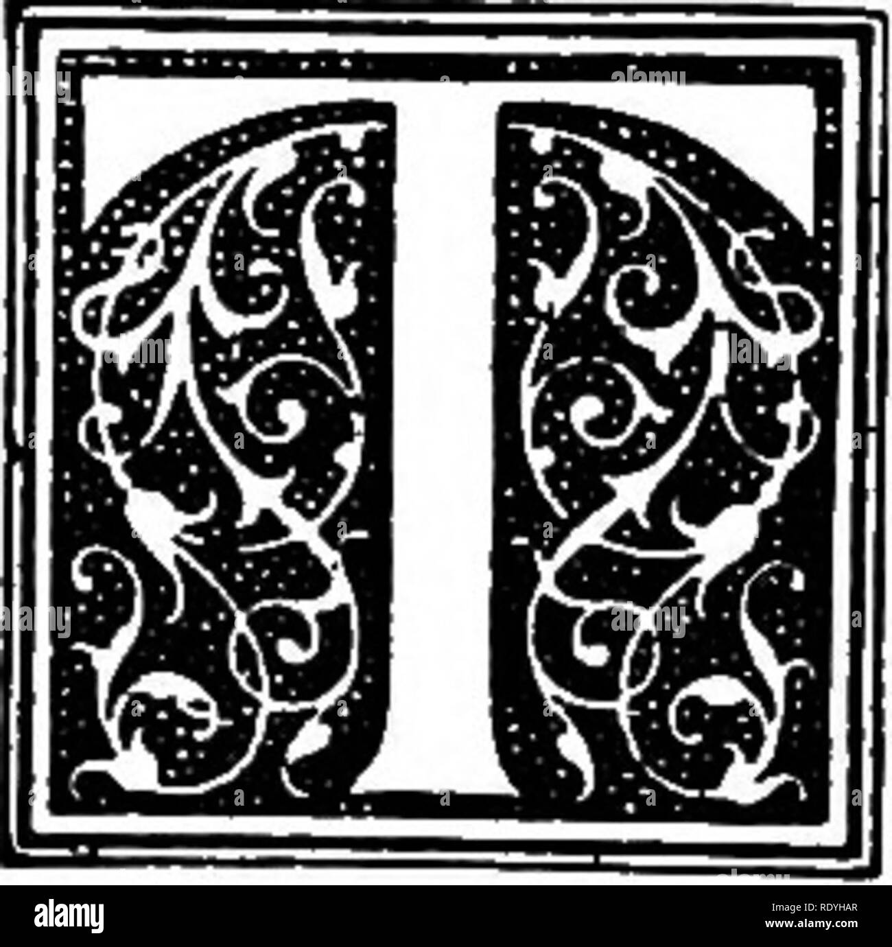 . Le chien d'adresses. Une histoire populaire du chien, avec des informations pratiques pour les soins et la gestion de la chambre, chenil, les chiens et d'exposition ; et la description des races importantes. Les chiens. Chapitre XLV l'Irish Wolfhound |Il réanimé wolfhound irlandais a été fait une édition plus robustes de la Scottish Deerhound, mais il n'y a pas de preuve absolue que c'était le seul type de chien qui est allé par le nom de ou chien loup a été utilisé pour wolfhunting en Irlande. Qu'il y avait un bon chien dans l'Irlande est au-delà d'une question de fait, la charge de la preuve peut presque dire d'être sur le sup- porters du Banque D'Images