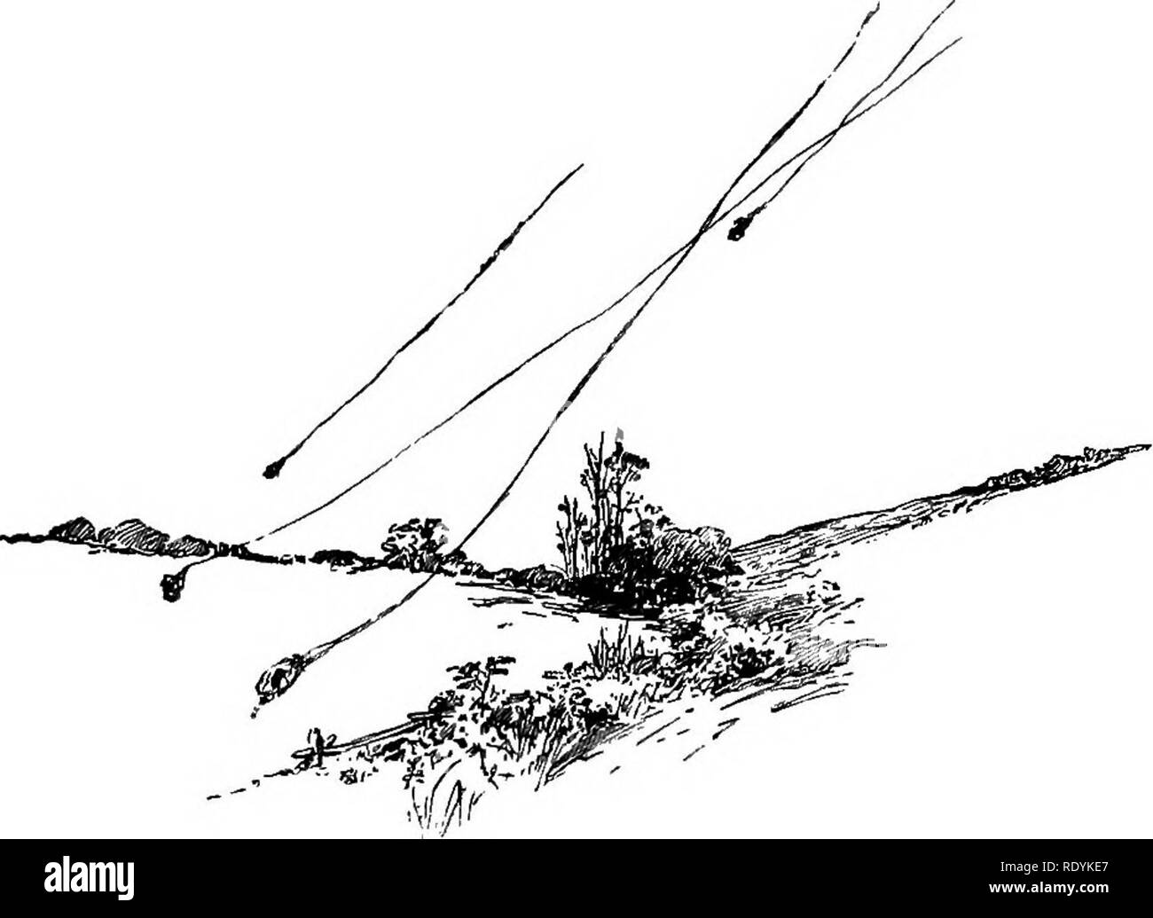 . L'automne de l'année. L'histoire naturelle. 30 L'AUTOMNE DE L'année, le flaming oaks endroit sombre et pins, les gencives et de sumacs ! Prenez le single, scène forestiers notamment et l'examiner jusqu'à ce que vous pouvez le voir dans la mémoire pour toujours. IV Vous devriez voir les araignées dans leurs dirigeables, naviguant sur l'automne de prairies. Prendre un Indien. Journée d'été, paresseux, ciel voilé, ensoleillée, et de se coucher sur le dos dans une petite prairie .où les bois ou la vieille couverture clôtures autour. Mensonge de sorte que vous n'notface le soleil. L'air endormi est lourd avec baume et à peine se déplace. Bientôt, chatoyante, gonflée par la lumière, un soyeux s Banque D'Images