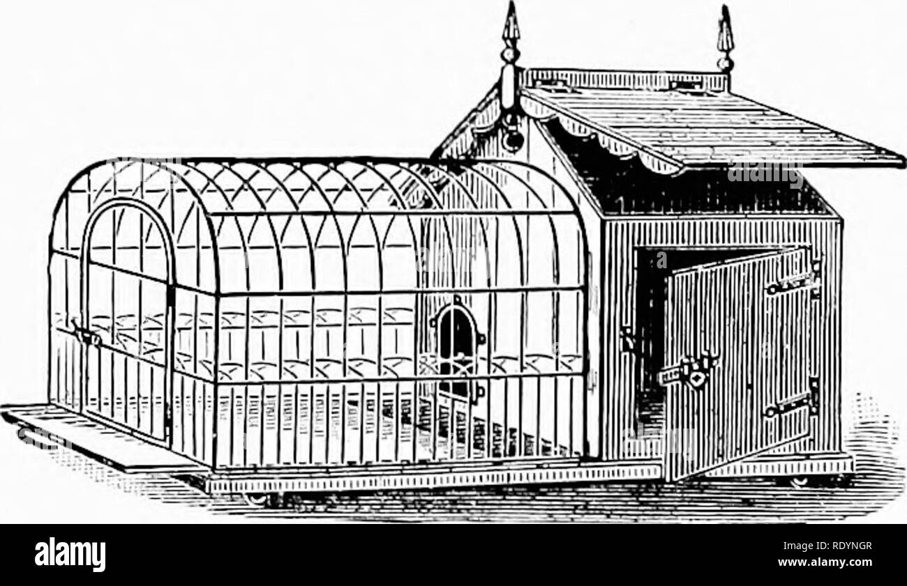 . Le nouveau livre du chien ; une histoire naturelle de la les chiens et leurs parents à l'étranger, avec des chapitres sur le droit, la reproduction, l'élevage, de gestion et de traitement vétérinaire. Les chiens. Gestion de la pratique. Il y a génération 573. Une meilleure connaissance a beaucoup fait pour accroître la fierté que le peuple britannique prendre dans leur com- panions canine, et notre population actuelle d'ckigs ne'er a été égalé pour bon c]ualitv dans anv autres âge ou un autre terrain)'. Le débutant ne peut pas facilement se tromper ou être gravement trompé, mais il est bien ^hen faire un premier achat, pour suivre les conseils d'un ex Banque D'Images