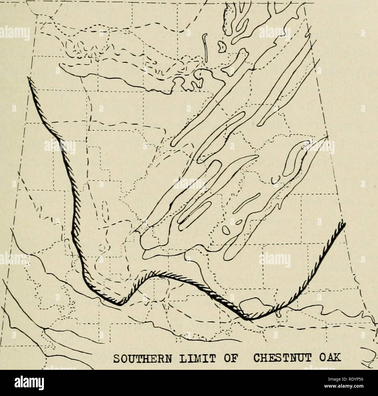 . Botanique économique de l'Alabama. La botanique, économique ; les forêts et la foresterie. CUPULIFERAE 117. Limite sud du chêne châtaignier ^-'' RT-fH 1926 AIap 13. Oucrcus iiwtitaiia limite sud. 6B. Tuscaloosa, Hale et Bibb comtés. 6C. Chefs de ravins profonds au sud de La Havane, Hale Comté, et quelques miles au nord de Marion, Perry Comté. Qiicrciis Bcrnardicnsis, Wolf (Torreya 18:161-162. 1918), décrit à partir de Cullman County, est aujourd'hui par son auteur d'être un hybride entre Q. montaua stcUata et Q.. J'ai vu ce qui m'a semblé être le même hybride, en compagnie w ith-les deux parents, à la localité-type (192T). Banque D'Images