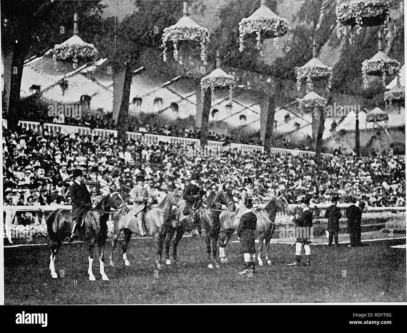 . Élevage de chevaux productifs. Les chevaux, les chevaux. Les CLASSES DE CHEVAUX 63. Fig. 54.-une catégorie de chevaux de selle français, le type pur-sang prédominent.. Veuillez noter que ces images sont extraites de la page numérisée des images qui peuvent avoir été retouchées numériquement pour plus de lisibilité - coloration et l'aspect de ces illustrations ne peut pas parfaitement ressembler à l'œuvre originale.. Gay, Carl Warren, 1877-. Philadelphia &AMP ; Londres, J. B. Lippincott Company Banque D'Images