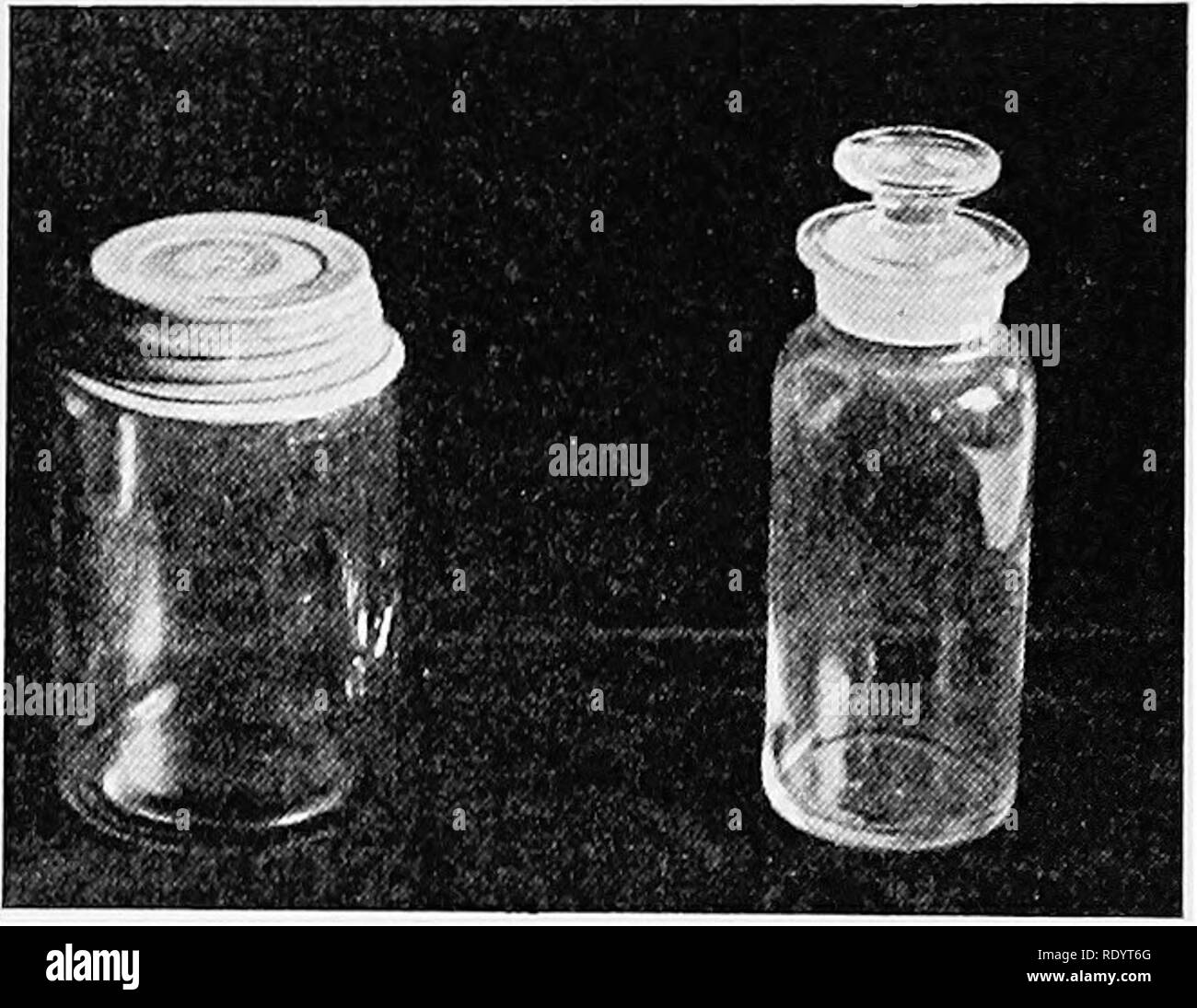 . L'industrie laitière productive . L'industrie laitière. 314 DU LAIT ET DE LA crème au beurre à l'essai à l'occasion et l'encourage à enregistrer un test plus bas que la lecture actuelle, pour récupérer dans l'opération. Si une vache est testé et elle donne 30 livres de lait pour trente jours, elle a produit 900 livres de lait. Si c'est sho"^vn pour tester 3.9  % de matières grasses, elle sera alors donné avec crédit ayant produit 35,1 livres de graisse, tandis que d'un verre- flacon bouché pour empêcher l'évaporation de l'eau pourrait montrer son véritable test d'avoir été 3,6  % de matières grasses. Ce serait son crédit d'avoir produit seulement 32,3 pound Banque D'Images