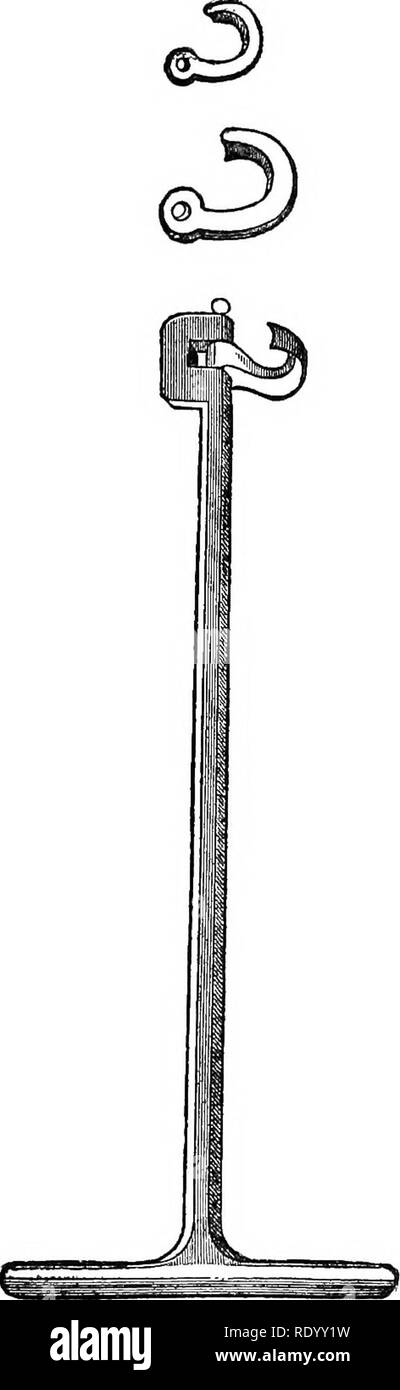 . Dispositif manuel de chirurgie vétérinaire. Chirurgie vétérinaire. Fig. 348.-Lecellier Pinces pour la dent molaire. Fig. 349 Garangpot's Keys, Modi- fui par Delamarre. molaires, la présence des cavités des sinus, et la diminution de l'épaisseur des murs de leur rendu se terminant par leur. Veuillez noter que ces images sont extraites de la page numérisée des images qui peuvent avoir été retouchées numériquement pour plus de lisibilité - coloration et l'aspect de ces illustrations ne peut pas parfaitement ressembler à l'œuvre originale.. Liautard, Alexandre Franc ?ois Augustin, 1835-. New York, Sabiston &AMP ; Murray Banque D'Images