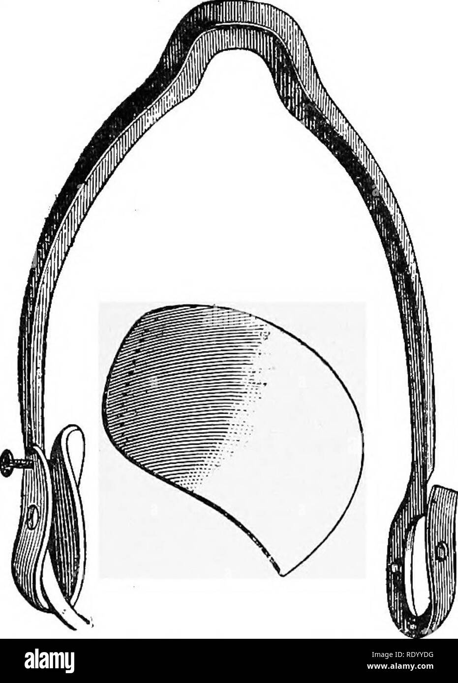 . Dispositif manuel de chirurgie vétérinaire. Chirurgie vétérinaire. FKACTUEES. 245. La SIF. 266.-Bourgelat appareils pour fractures et luxation de l'articulation de l'épaule. FIO. 267.-Le même en place.. Veuillez noter que ces images sont extraites de la page numérisée des images qui peuvent avoir été retouchées numériquement pour plus de lisibilité - coloration et l'aspect de ces illustrations ne peut pas parfaitement ressembler à l'œuvre originale.. Liautard, Alexandre Franc ?ois Augustin, 1835-. New York, Sabiston &AMP ; Murray Banque D'Images