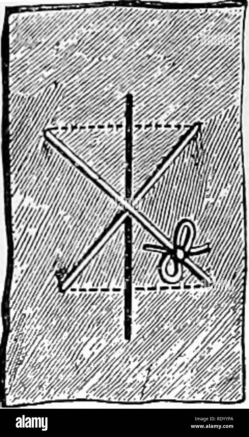 . Dispositif manuel de chirurgie vétérinaire. Chirurgie vétérinaire. Fig. 199.-T Suture. Pia. 200.-X Suture. suture, dans lequel l'de coaptation des frontières de la plaie est exacte et régulière. Il est principalement applicable lorsque les frontières de la plaie ont tendance à se chevaucher. 10. T (Fig. 199).-c'est l'étrange croix utilisée pour réunir les frontières d'un T ou d'incision cruciale. Un thread est utilisé avec une aiguille à chaque extrémité, chacun de qui est passé à travers l'intérieur de l'extérieur, dans l'un des angles de la T, et apporté de l'intérieur vers l'extérieur au-delà de l'incision transversale du T wh Banque D'Images