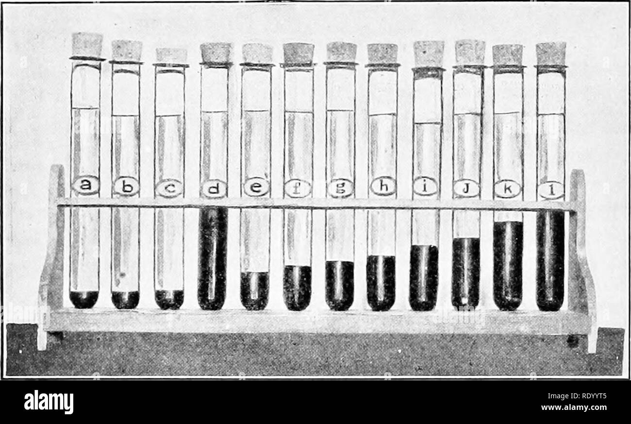 . Essentials de biologie a présenté des problèmes. La biologie. DIETARIES 350 Aliments et qu'il se sent vite le besoin de la drogue. Ainsi, les habitudes de consommation de drogue est formé, - une condition qui a détruit des milliers d'Hves. Un certain nombre d'articles sur les médicaments récemment apparus dans un. Les quantités d'alcool dans certaines liqueurs et dans certains médicaments brevetés. u, bière, 5  % ; 6, Bordeaux, 8  % ; c, champagne, 9  % ; rf, whisky, 50 % ' ; e, sarsapariila bien connu, 18  % ; /, g, h, beaucoup-nerf annoncés toniques, 20  %, 21  %, 25  % ; i, une autre beaucoup-sarsapariila annoncés ; je, un tonique, 28  % ; k, I, d, 37  %, 44  % alc Banque D'Images