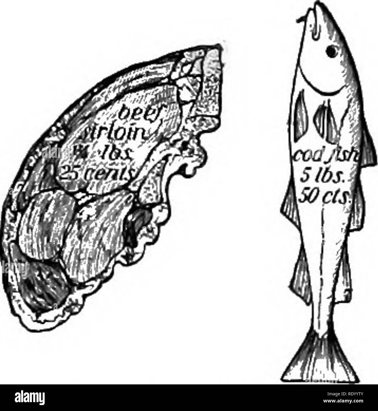 . Essentials de biologie a présenté des problèmes. La biologie. La composition d'une bouteille de lait. AVhy est-il considéré comme un bon aliment ? J'ai com h'  %5c&amp;iis M. matière minérale est également présent. Pour ces raisons, le lait est exten- les épandeuses utilisées comme nourriture pour les enfants, car il combine l'alimentation du matériel pour la formation de protoplasme avec la matière minérale pour la construction d'os. Certains légumes (par exemple, les pois et haricots) contiennent les matériaux azotés nécessaires pour envisager la formation de protoplasme capable- proportions, mais dans une forme moins digestibles que l'on retrouve dans certains autres aliments. Vege- tarians, alors, sont co Banque D'Images