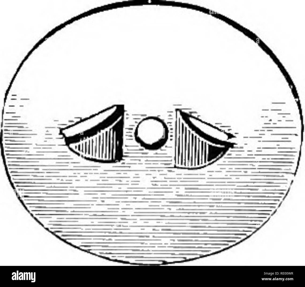 . Maladies chirurgicales du chien et chat, avec des chapitres sur l'anesthésie et d'obstétrique (deuxième édition de 'chirurgie Canine et féline'). Chiens ; chats. 54 Chirurgie canine et féline elle-même de la suture. Le nœud maj- être laissé directh" dans le centre, ou, ^â¢hat est probablement un meilleur plan, parce qu'il cause moins d'irritation, tiré d'un côté. Lorsque les extrémités libres tombent dans la même ligne que le ^^Sound et à angle droit par rapport à la suture, le nœud est susceptible de glisser ou céder la place ; c'est ce qu'on appelle un '' granny knot (voir Fig. 31). De simples points séparés sont appropriés pour l'homme}- types d'interventions chirurgicales, et il faut insérer Banque D'Images