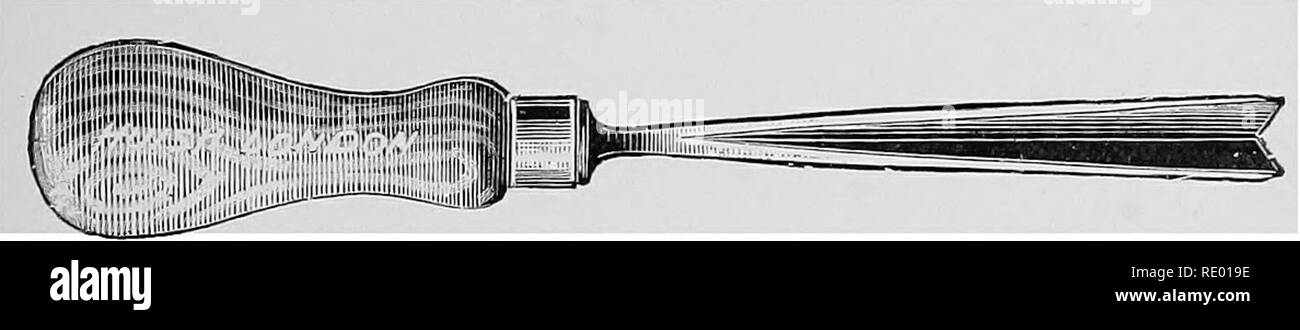 . Les maladies du pied du cheval . Sabots ; chevaux. Le LATEEAL CAETILAGES MALADIES OP 375 (Smith), fig. 146, ou le sabot d'un burin (Hodder's), gie. 147. Avec le plan des sabots de la gorge du mur est faite par une succession de mouvements de grattage à la baisse, tandis que la coupure avec le burin dans le mur est faite soit de bas en haut, ou de haut en bas, selon que le pied est maintenu en avant ou en arrière-selon, en fait, est plus commode. Lorsque vous utilisez le couteau ou le sabot avion ce n'est pas souvent /C"^^^-."^^ ^^g-g ,-^ ^^, Ett" ^^^^^s*s^^ P''"oi&gt ; j f Fig. 146.-Hoof Avion (Smith). Banque D'Images