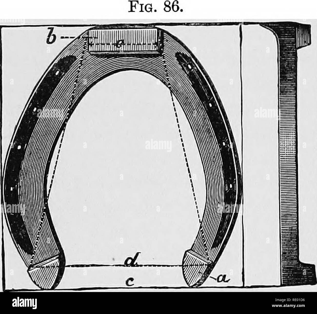 . Un texte-livre des produits pour horseshoers et les vétérinaires. Produits. 96 produits. Propriétés spéciales.-Les différentes formes d'ongles re- quire une grande variété de chaussures. À la suite sont les particularités de chacune des classes de chef des chaussures. 1. Pour une chaussure Sabot ordinaire.-Bord extérieur : base modérément étroit- biseauté (sous) tout autour. La distribution et la direction de l'ongle-trous : régulier. Longueur : plus longue que le sabot de l'épaisseur de la chaussure. 2. Chaussure pour une Acute-Angled Ontev-sabot edge : base fortement autour de l'étroit- TEP, mais devient peu à peu perpendiculaire vers Banque D'Images