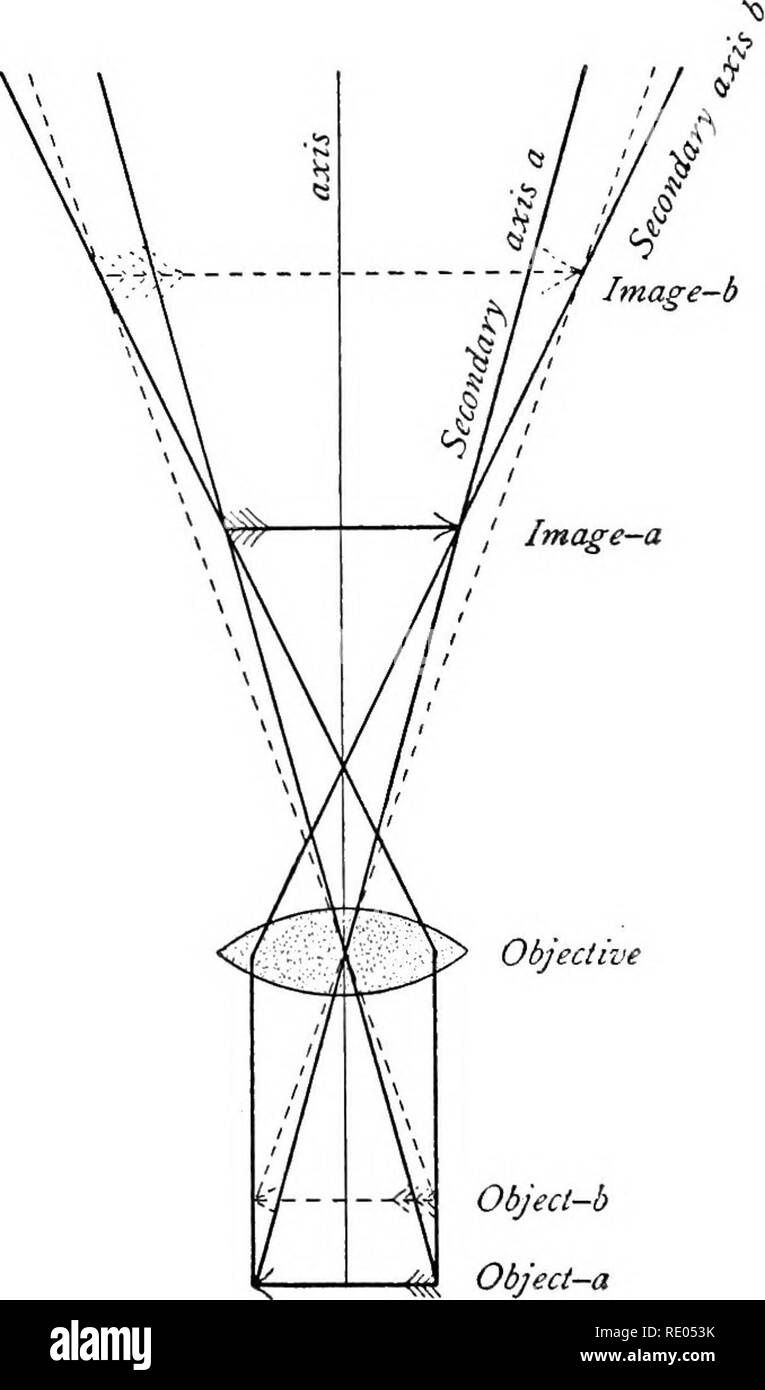 Le microscope ; une introduction aux méthodes microscopiques et à  l'histologie. Microscopes ; 1899. Objet- Fig. 93.. Objectif Objecl-b-a de  l'objet Fig. 9). Fig. 93-94. Des chiffres qui montrent que la