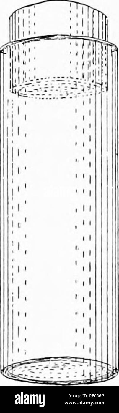 . Le microscope ; une introduction aux méthodes microscopiques et à l'histologie. Les microscopes. 174 L'ISOLEMENT DES ÉLÉMENTS [CH. VII et aussi de l'endymal les cellules du cerveau. C'est satisfaisant pour isoler les cellules nerveuses du cerveau. Pour l'épithélium de la trachée, des intestins, etc., l'action est suffisant dans deux heures ; une bonne préparation peut aussi être obtenu après deux jours ou plus. L'action sur les tissus nerveux du cerveau et de la moelle épinière ou myel est à peu près aussi rapide. Pour l'épithélium stratifié, comme celles de la peau, de la bouche, etc., il peut nécessiter deux ou trois jours pour les prépa satisfaisante Banque D'Images