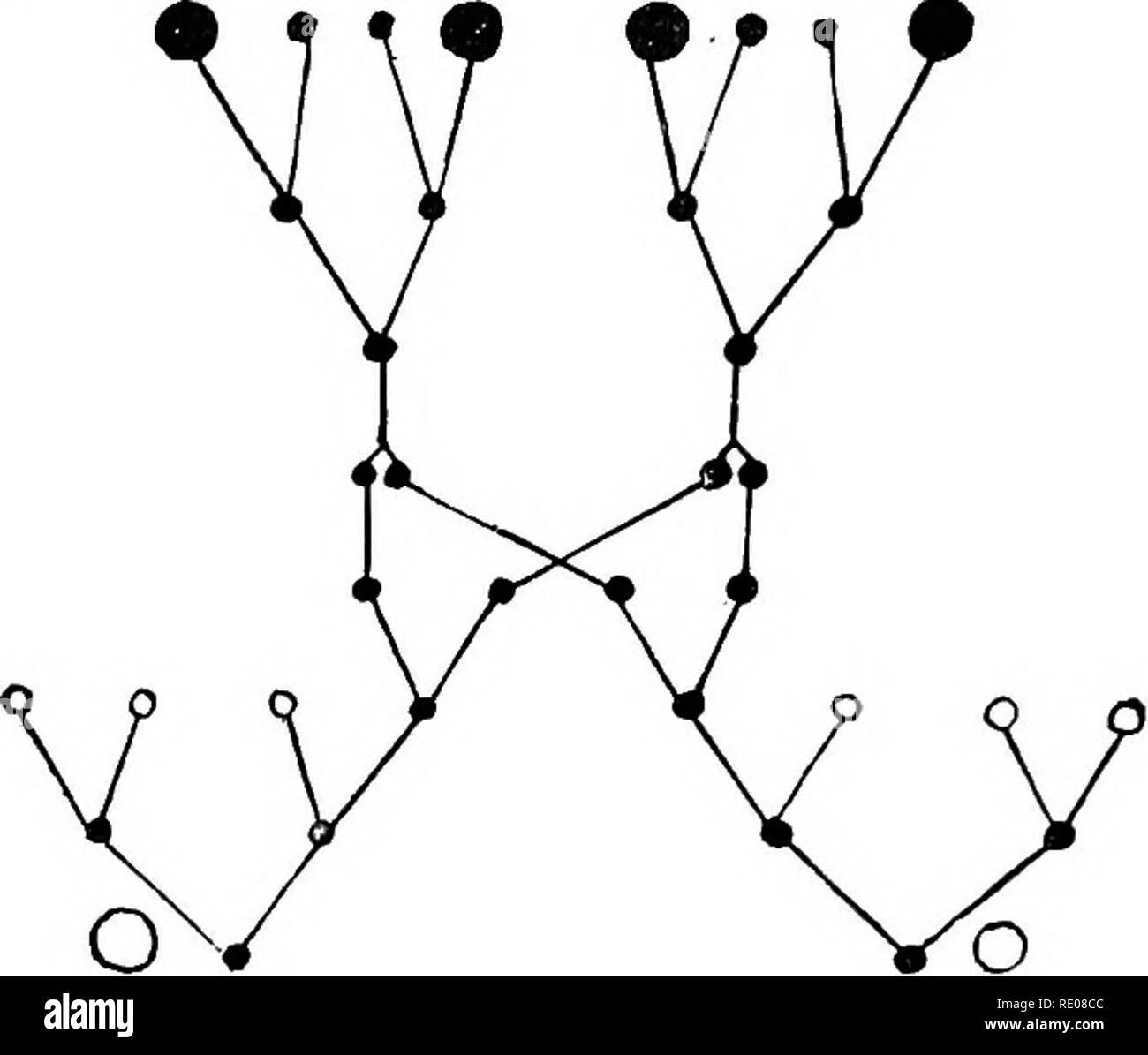 rencontre conjugation chart
