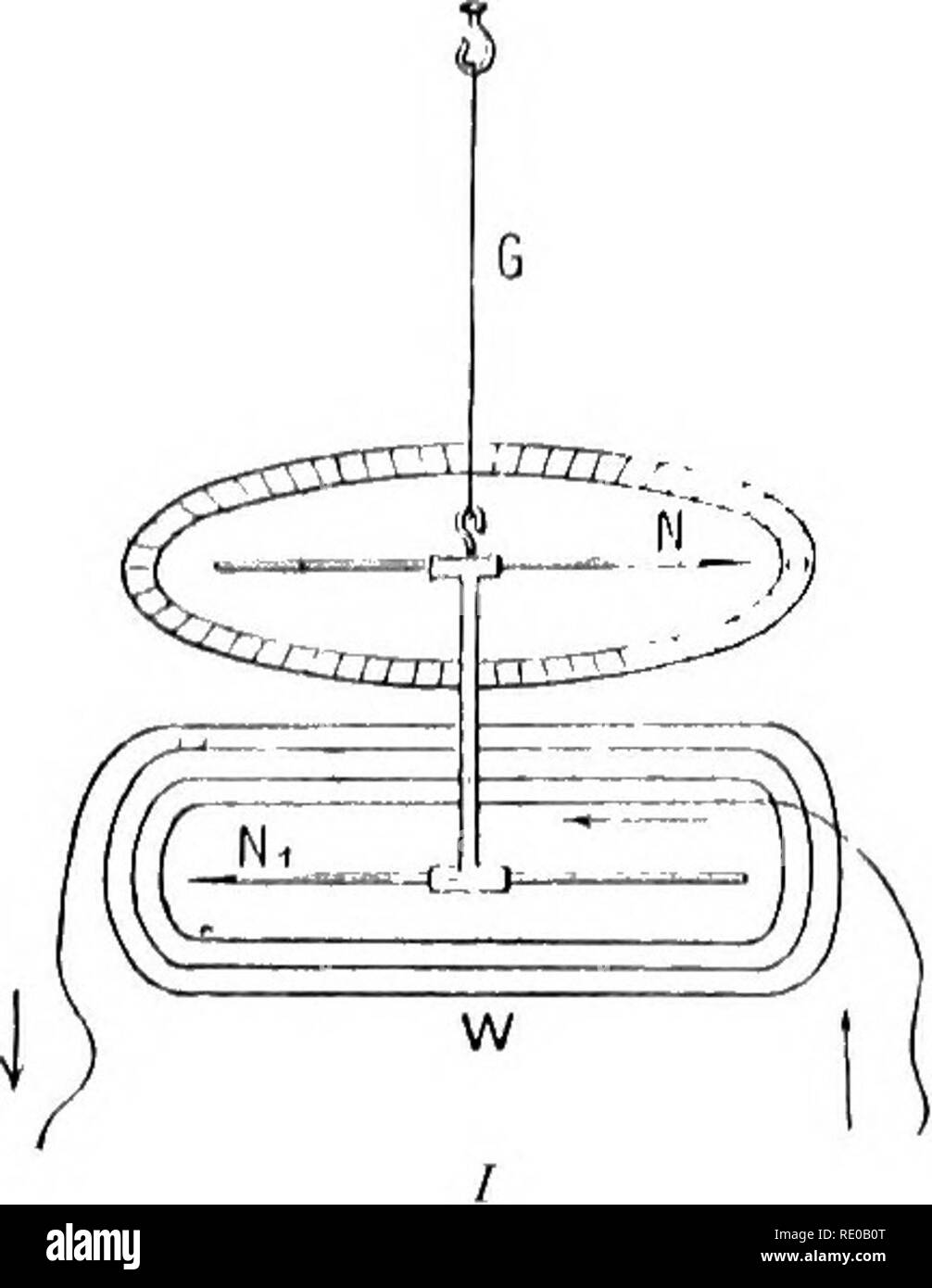 . Physiologie générale ; un aperçu de la science de la vie. Phénomènes vitaux élémentaires 259 f/alvanometer (Fig. 116) l'aimant a la forme d'un anneau est suKp whicli(;n(dirigé par une fibre de soie dans l'espace à l'intérieur de la bobine d'une petite mitror ; est connecté avec e(j Sonnerie et accompagne tous les mouvements du de ce dernier (Fig. 116 /37). À quelque distance de th( ; appareils se dresse une telesc()p&Lt ;' portant une échelle, l'image de ce qui, par une adaptation peut bo obs(;rvod au téléscope dans le miroir du galvanomètre (Fig. 1167). Le moindre écart de l'anneau-aimant est illustré dans le télescope Banque D'Images