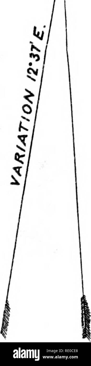 La Fourrure De Phoque A Fourrure Et Iles De L Ocean Pacifique Nord Les Joints D Etancheite Animaux I Gt V Lt A M Lt Fvw J I B E Un Cli Stab Allume C
