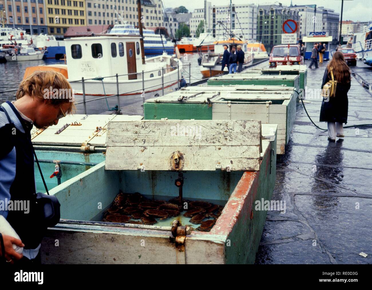 PUESTO DE PESCADO VIVO EN EL PUERTO. Lieu : extérieur. Banque D'Images