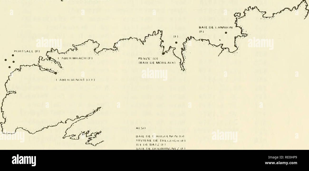 . Étude écologique de la marée noire de l'Amoco Cadiz : rapport de la NOAA-CNEXO Commission scientifique commune. Amoco Cadiz (navire) ; les déversements de pétrole -- Aspect de l'environnement France ; déversements de pétrole -- Aspect de l'environnement de l'Atlantique Nord. 3.6 Les huîtres et les poissons (Michel, l'ISTPM) Un programme d'analyse chimique à l'appui du début de l'après-fuite (Mars 1978 - mars 1979) programmes de l'Institut scientifique et technique des peches Maritimes (ISTPM) a été entreprise (tableaux 20 à 22 et Fig. 3.79). Des échantillons de poissons et d'huîtres (diverses espèces) ont été analysés par GC et plusieurs échantillons par GC/MS. La res Banque D'Images