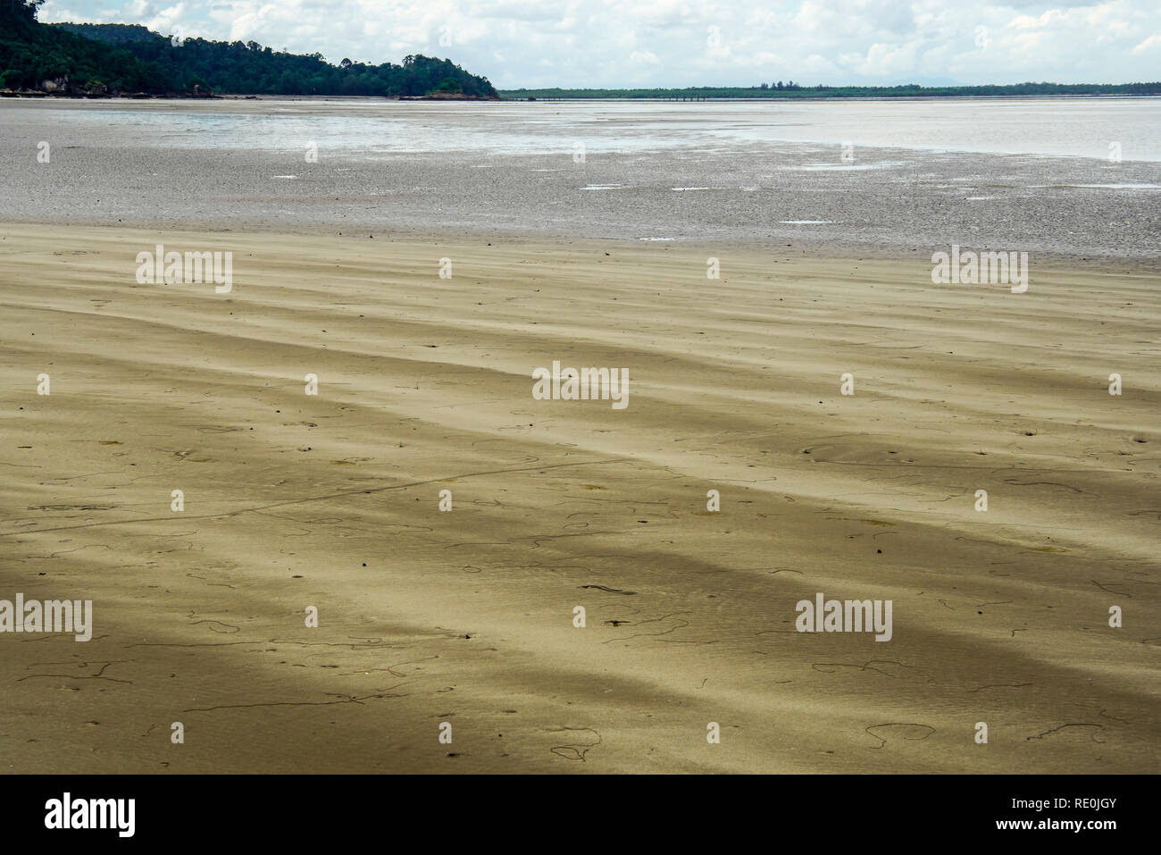 Ciastline de parc national de Bako sur l'île de Bornéo, Sarawak, en Malaisie. Banque D'Images
