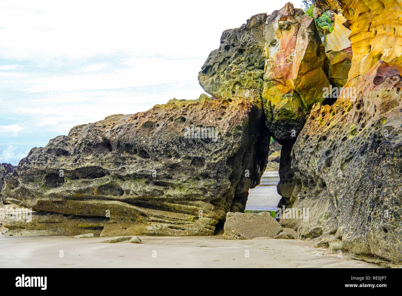 Et pittoresque de quitter le fer oxydé rock en parc national de Bako sur l'île de Bornéo, Sarawak, en Malaisie. Banque D'Images