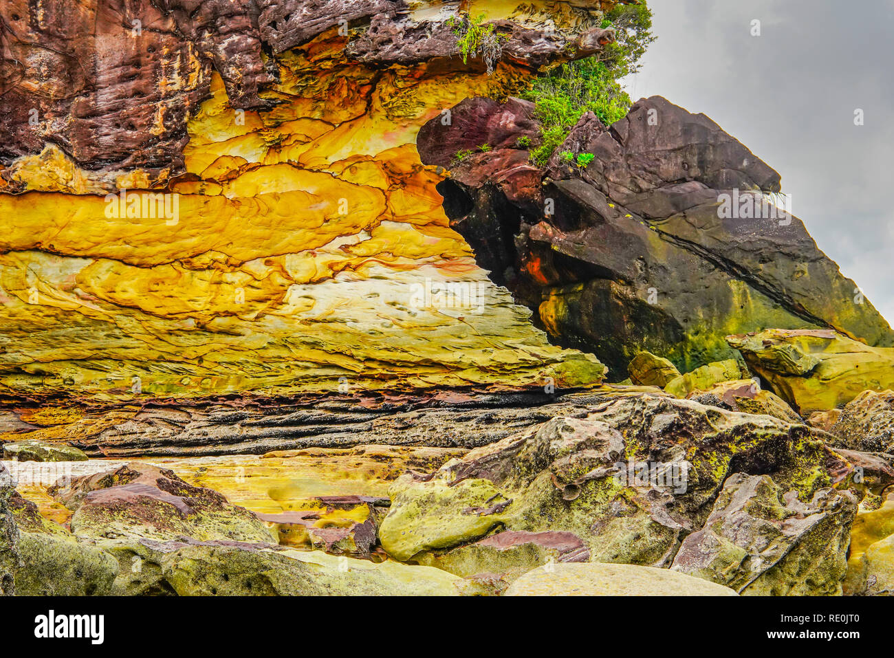 Et pittoresque de quitter le fer oxydé rock en parc national de Bako sur l'île de Bornéo, Sarawak, en Malaisie. Banque D'Images