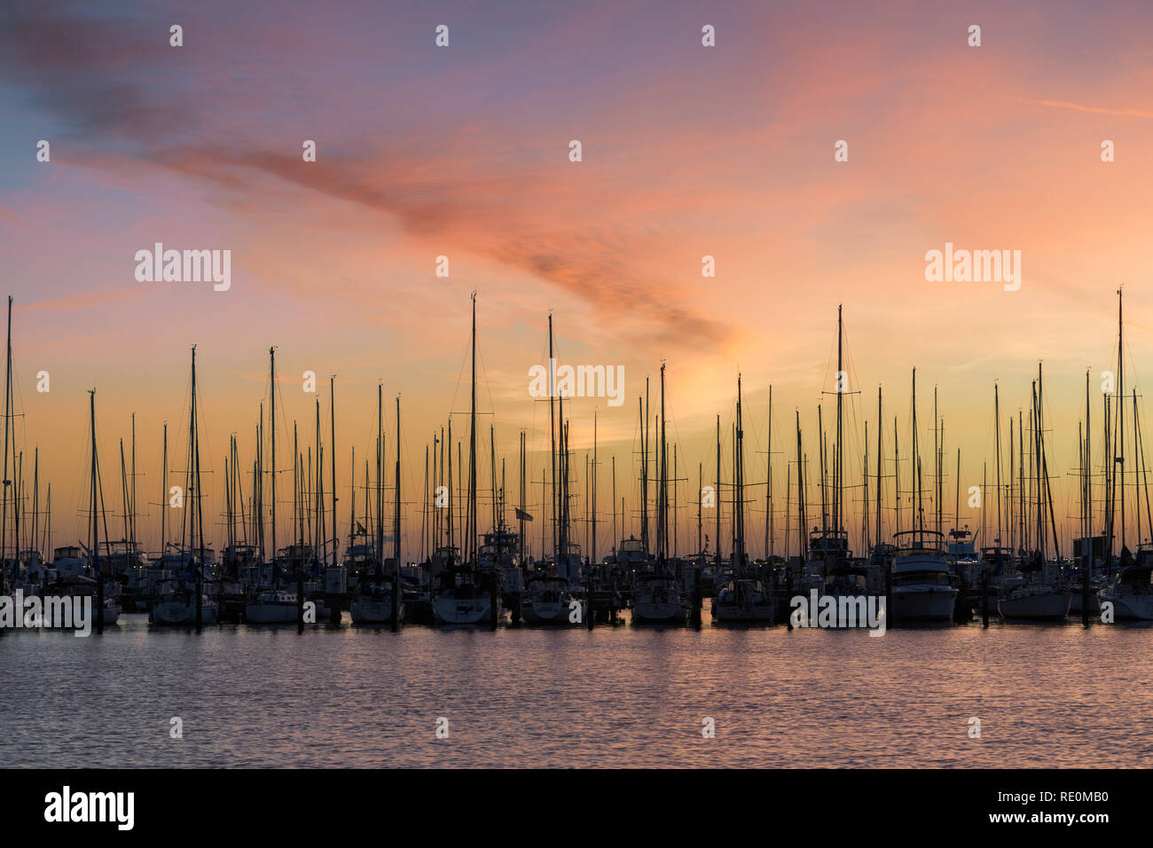 Voiliers au lever du soleil au sud Yacht Basin à Saint-Pétersbourg, en Floride Banque D'Images