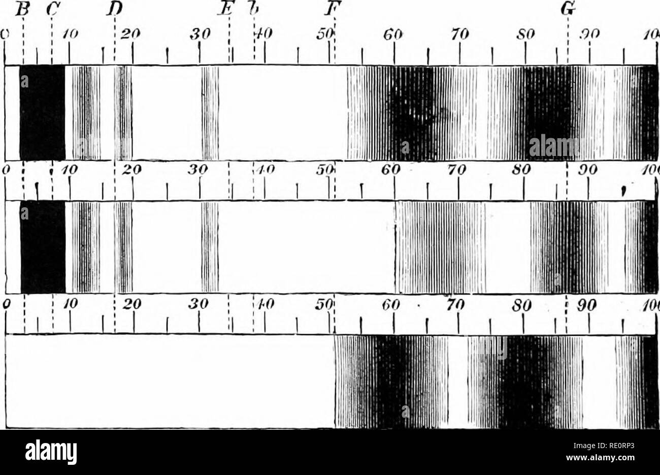 . Une introduction à la physiologie végétale. Physiologie végétale. Physiologie végétale 286 une solution de chlorophylle est perçu à l-&gt;e rohljed de rayons dans ces régions, et donc de présenter l'apparence d'un Ijancl des différentes couleurs traversé par plusieurs bandes sombres (hg. 130). La plus grande partie de l'énergie ainsi obtenue dans les cellules qui contiennent des chloroplastes est à la fois exiieiided piartly, dans la construction de glucides matières alimentaires et en partie en eva.porating l'eau de la transpiration. Ce dernier processus est beaucoup le nrore cher ; de récentes observations a'e fait il probable que 98 pour c Banque D'Images