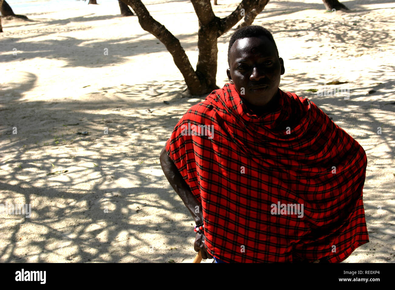 Zanzibar Guerrier Masai Banque D'Images Zanzibar Guerrier Masai Banque D'Images