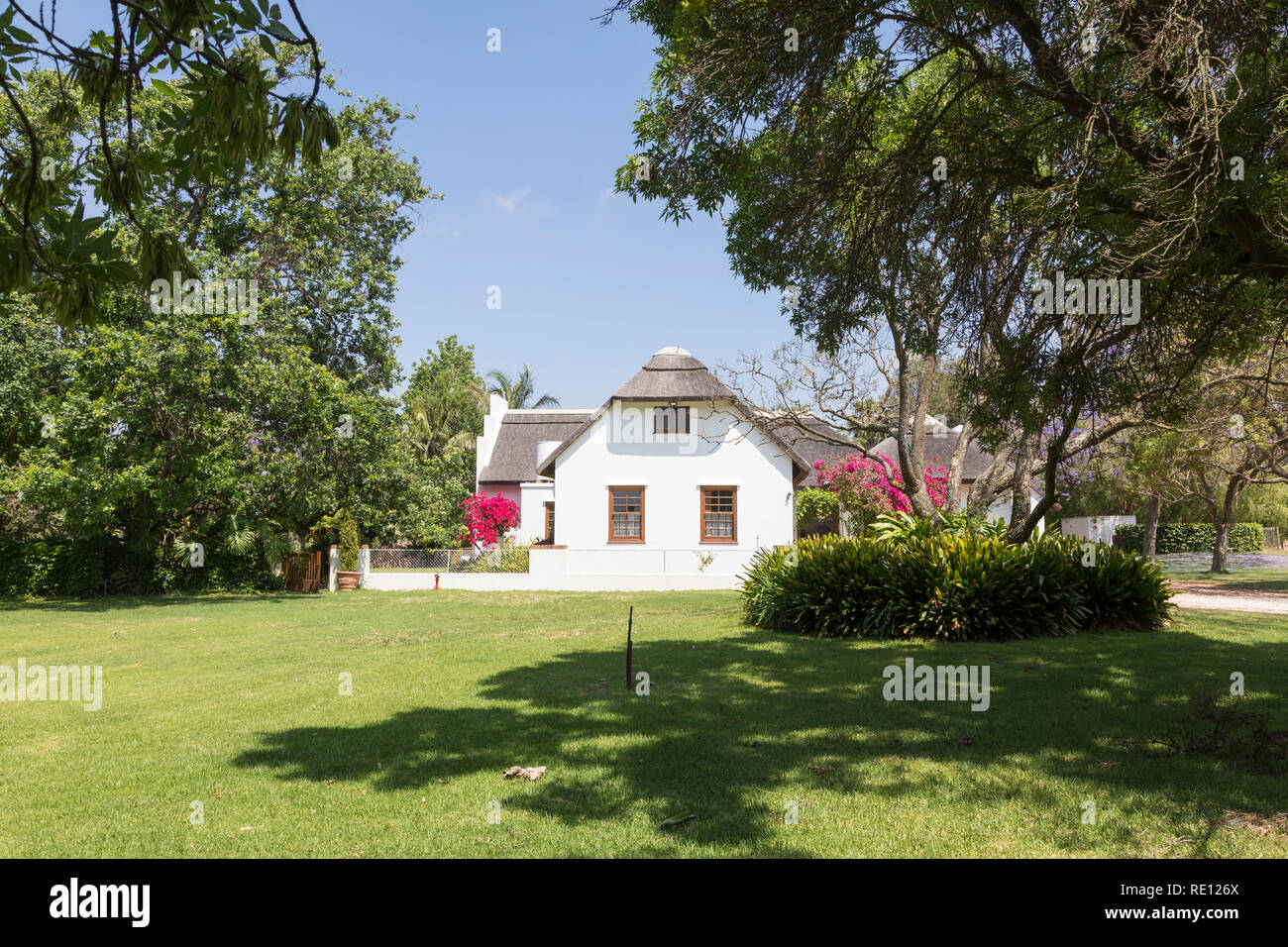 Springfield Wine Estate, Robertson, Route 62, Breede River Valley, Western Cape, Afrique du Sud, Thantched homestead Banque D'Images