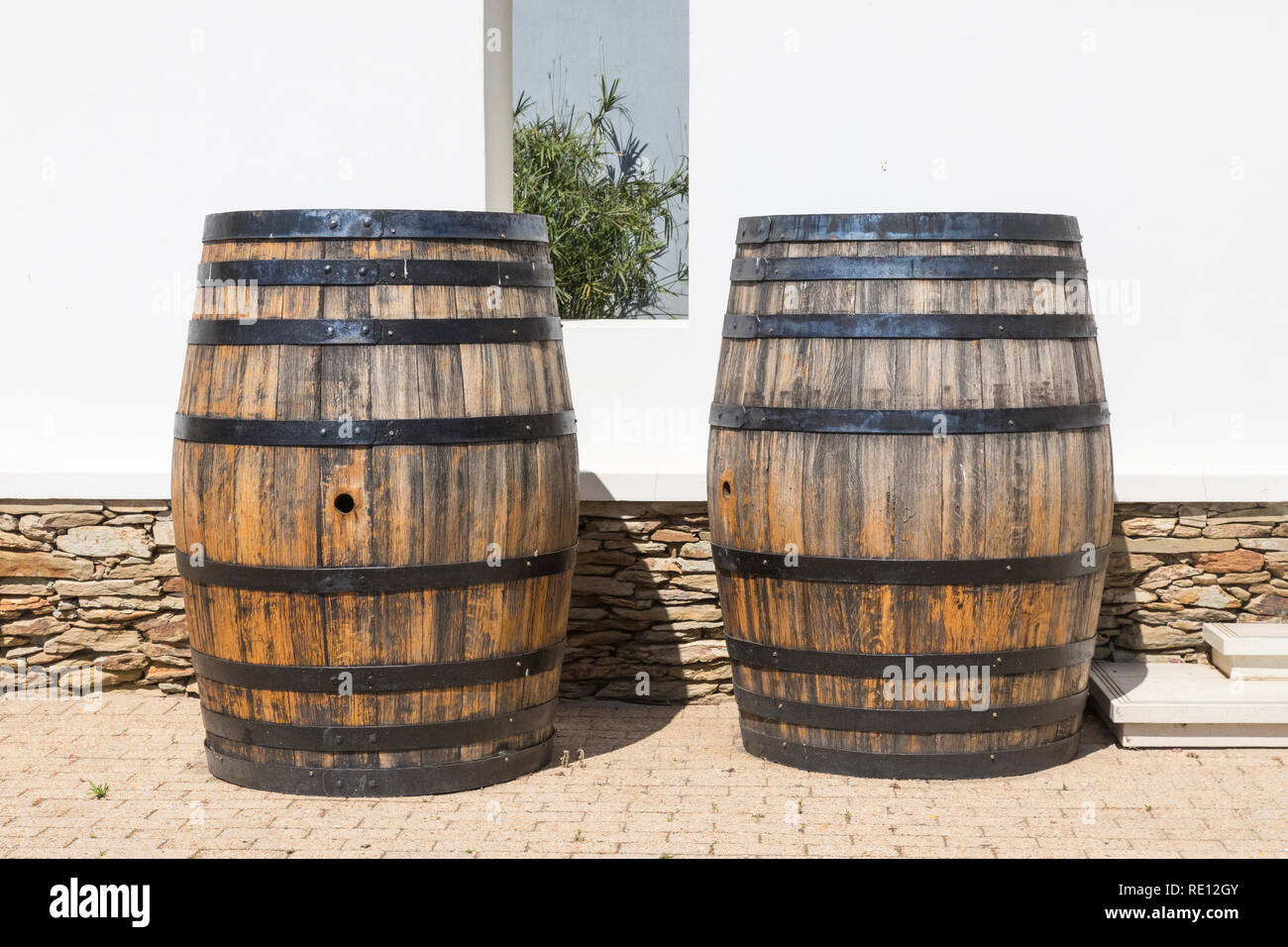 Deux vieux chêne des tonneaux de vin dans les caves avant f, van Loveren Wine Estate , Breede River Valley, Robertson, Western Cape, Afrique du Sud Banque D'Images