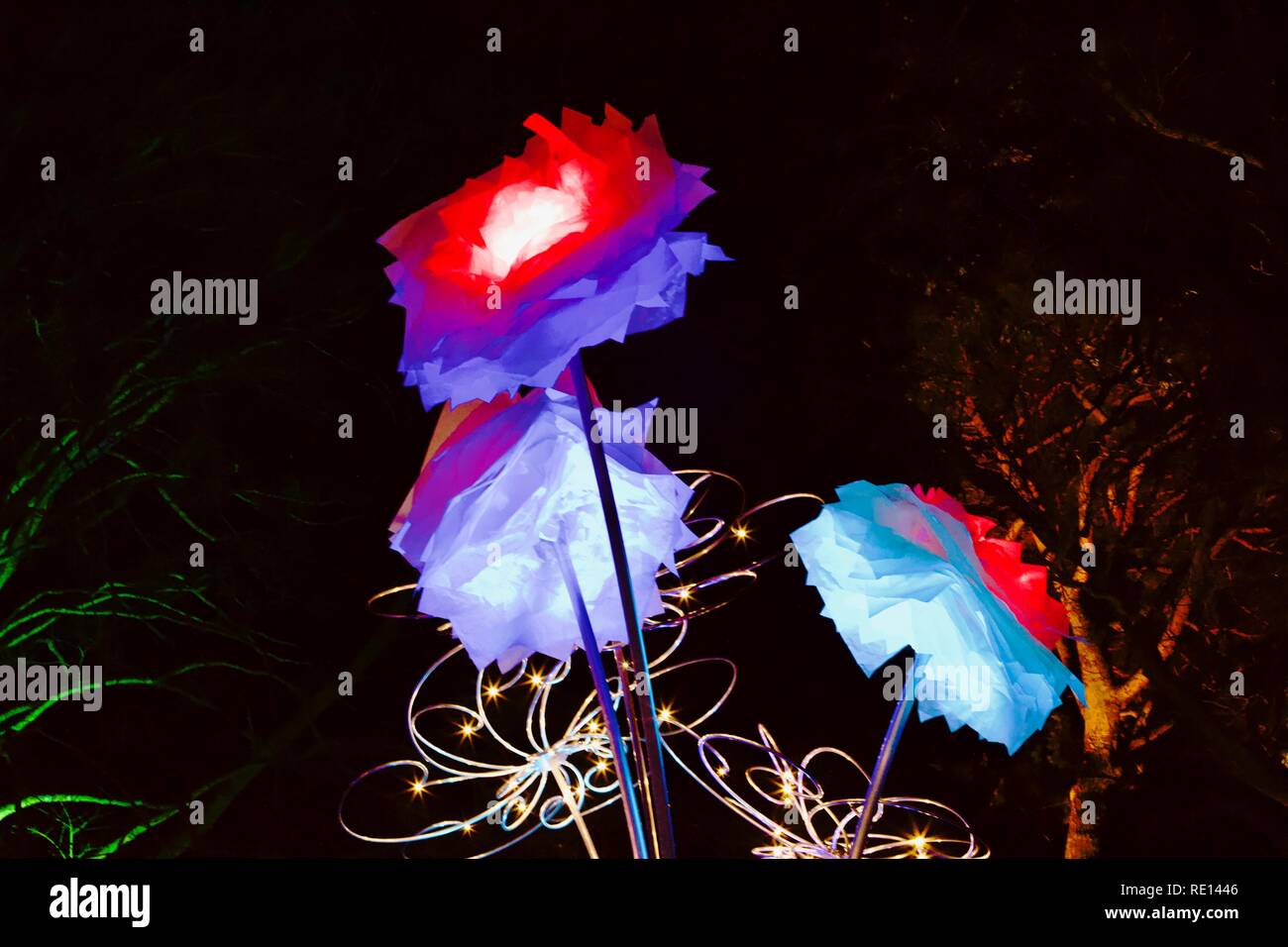 Fleurs illuminée à Noël 2018 à Kew Gardens Banque D'Images