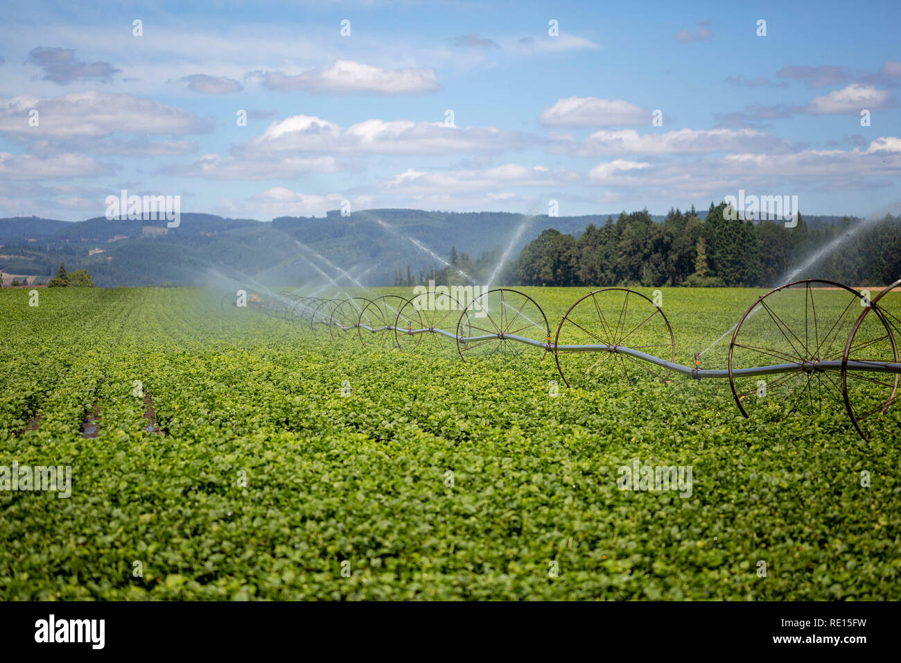 Système d'irrigation d'arroser un champ de ferme Banque D'Images
