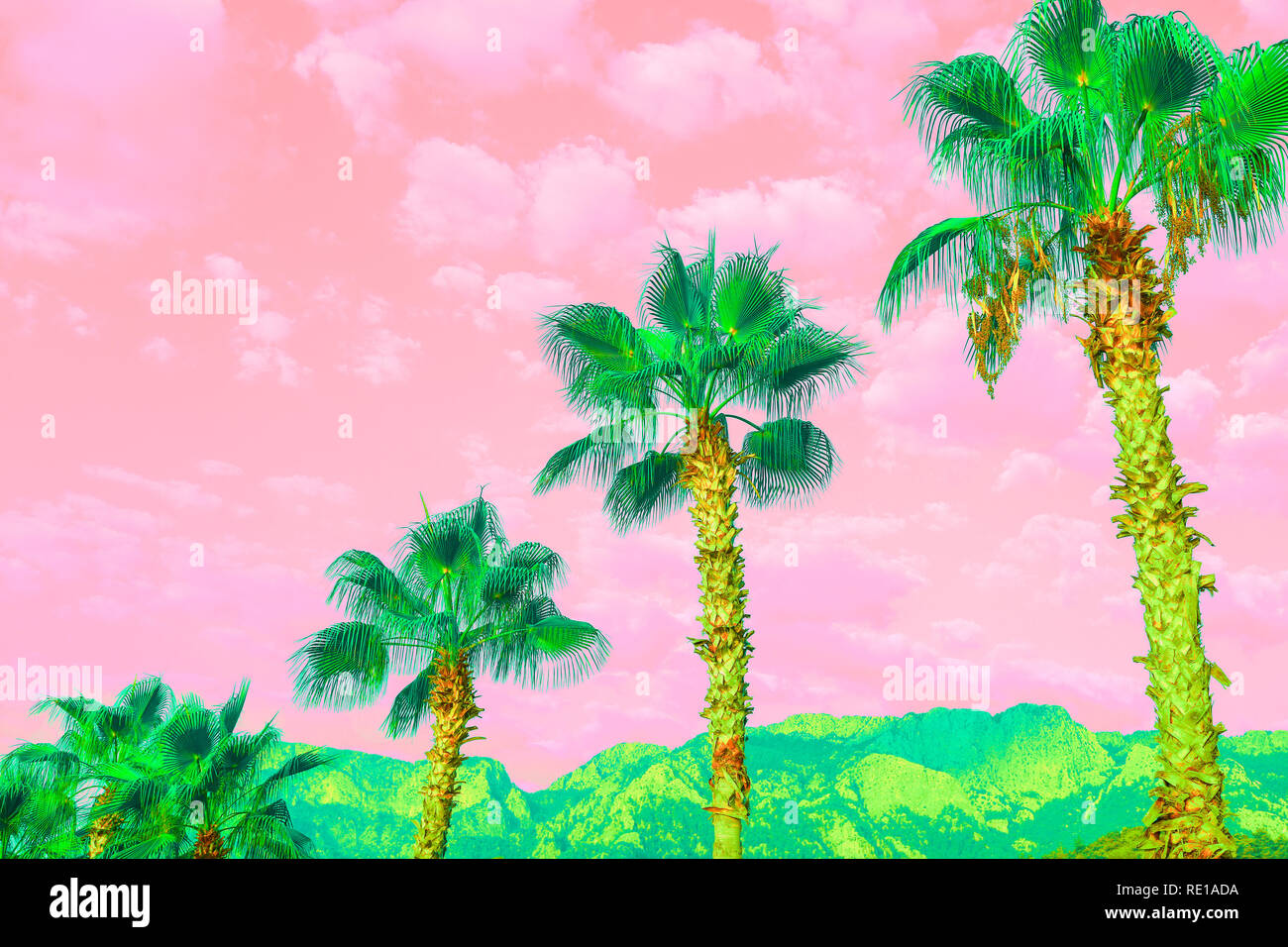 Paysage surréaliste avec des palmiers et ciel nuageux ciel rose-corail. Banque D'Images