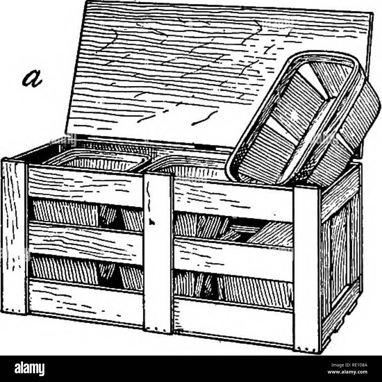 . Jardinage légumes . La culture maraîchère ; méthode de projet dans l'enseignement. FIG. 47 Un, trois, six, huit et dix pintes panier ; b, 5 livres panier, souhaitable pour manj Masses de légumes ; c, Californie crate, quatre cinq livres paniers.. Veuillez noter que ces images sont extraites de la page numérisée des images qui peuvent avoir été retouchées numériquement pour plus de lisibilité - coloration et l'aspect de ces illustrations ne peut pas parfaitement ressembler à l'œuvre originale.. Watts, Ralph Levi, 1869-. New York : Orange Judd Banque D'Images