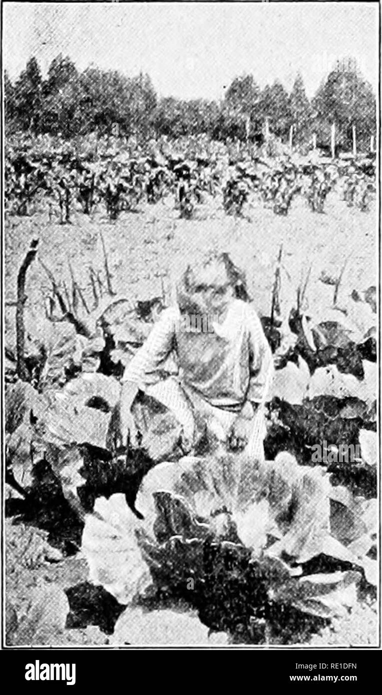 amateur dans les bois Fucking Pics Hq