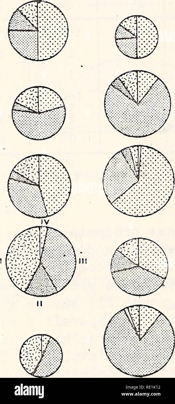 . Étude écologique de la marée noire de l'Amoco Cadiz : rapport de la NOAA-CNEXO Commission scientifique commune. Amoco Cadiz (navire) ; déversements de pétrole ; les déversements de pétrole. 17 21 25 29 © © T. 33. Xj c. Veuillez noter que ces images sont extraites de la page numérisée des images qui peuvent avoir été retouchées numériquement pour plus de lisibilité - coloration et l'aspect de ces illustrations ne peut pas parfaitement ressembler à l'œuvre originale.. NOAA-CNEXO Commission scientifique commune. [Rockville, Md. ] : U.S. Dept. of Commerce, National Oceanic and Atmospheric Administration ; [Paris] : centre national pour l'exploitation des océans Banque D'Images