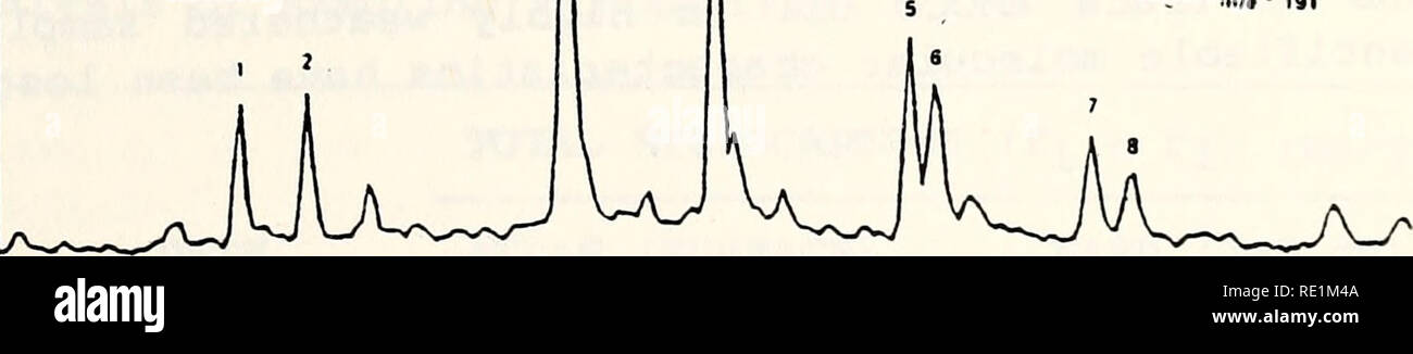 . Étude écologique de la marée noire de l'Amoco Cadiz : rapport de la NOAA-CNEXO Commission scientifique commune. Amoco Cadiz (navire) ; déversements de pétrole ; les déversements de pétrole. La figure 3.3. Â¢t'IMNCS OLSSZ V.T"l.rf JJ â¢A* ,,*.. ( OpU^^^ WJCJ U U VM;j JJ iTAj ^^ll ll 1 1 I i i i ^ X â â¢Â" 1&Lt ; Â Â" 4j Â"Â" jj tÂ" &lt;Â" â ¢ ! -^ Â", Â"J .l'ONU.v & L. JlJnf U UU/* J'^UJl n i m,1111111,111 j. GC/MS pour les recherches d'ions sélectionnés (triterpanes pentacyclique ho- volets) à l'Amoco Cadiz et de référence Novembre 1978 huile altérés dans les sédiments. 191,0 Tl. ION UtAl "t 1 1 1 1 1 1 1 1 1 1 1 1 1 1 1 1 1 fi4 fig fifi fi7 pour la fiq 707173 71 74 Banque D'Images