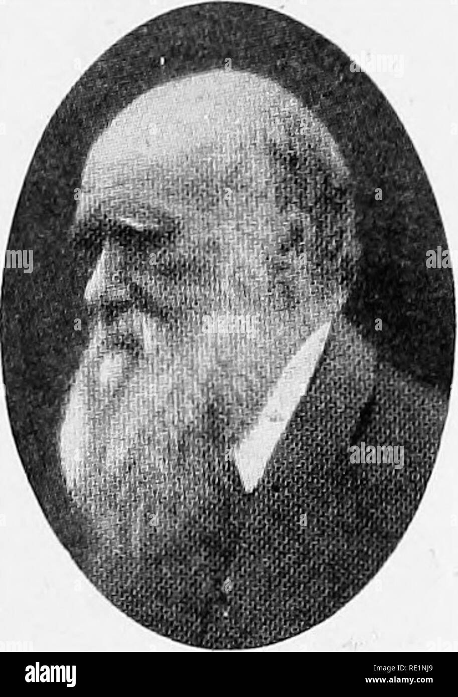 . College botanique ; la structure, la physiologie et l'économie des plantes. La botanique. Évolution des plantes 239 Darwin.âThis français bien connu, scientifique (Fig. 108) ad- vanced la théorie de la sélection naturelle en 1859 dans son livre en- intitulé l'origine des espèces. Il a supposé que la création a été un processus évolutif continu et que le facteur le plus important a été la sélection naturelle. Cette théorie était fondée sur l'idée que chaque individu des végétaux et des animaux doit être monté sur son environnement et qu'il est en concurrence avec d'autres plantes et d'animaux. Très naturellement, les personnes qui ont été les mieux adaptés à leur env Banque D'Images