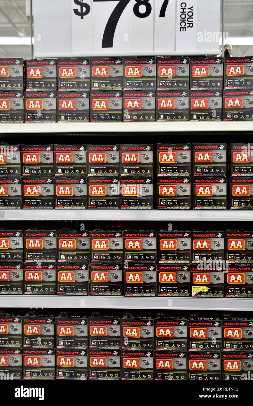 Des caisses de munitions de fusil Winchester sur l'affichage en magasin, jauge 12, heavy target Banque D'Images