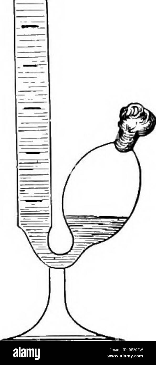 . Atlas et principes de bactériologie et texte-livre de diagnostic bactériologique spécial. La bactériologie. 90 ACTIVITÉS DE BACTÉRIES. Si le sucre est décomposée par des bactéries énergiquement, gaz- formation peut être absente, seul l'acide acétique ou lactique produite (par exemple, Bac. typhi- sucre de raisin), mais très souvent une énorme production de gaz, surtout si l'air est exclu. Environ un tiers de l'abondante production de variétés, gaz qui se compose toujours de l'acide carbonique, avec un mélange constant, selon Smith (Ch. B. xviii, 1), de l'hydrogène. Marsh =gas semble rare Banque D'Images