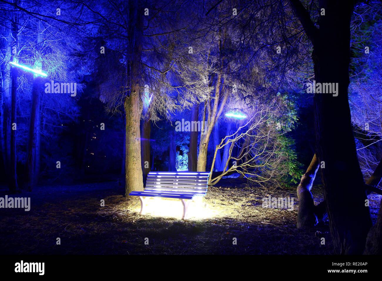 Allumé en oeuvres d'art dans une œuvre artistique, l'installation des feux, parc Gruga Essen, Germany, Europe Banque D'Images