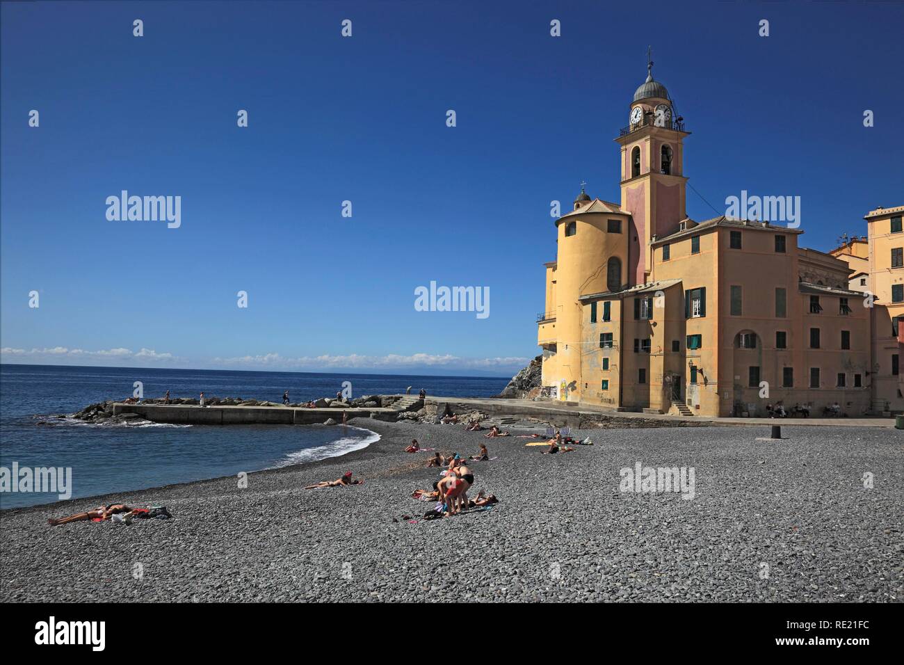 Camogli dans la province de Gênes, sur le Golfo Paradiso au Riviera di Levante, promenade de bord de plage et de l'église Santa Maria Assunta Banque D'Images