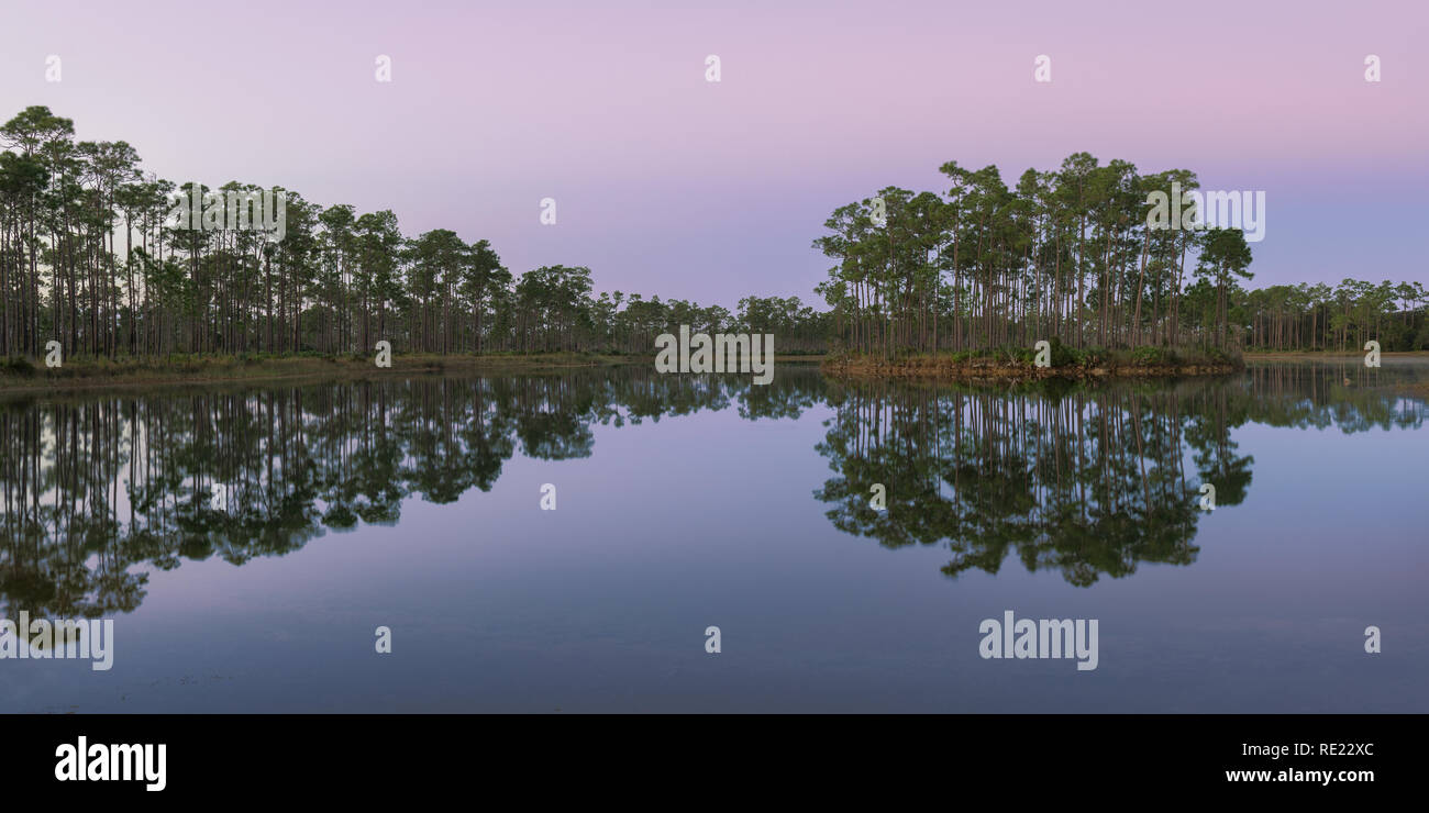 L'aube à long Pine Key Lake dans le parc national des Everglades près de Homestead, Floride Banque D'Images