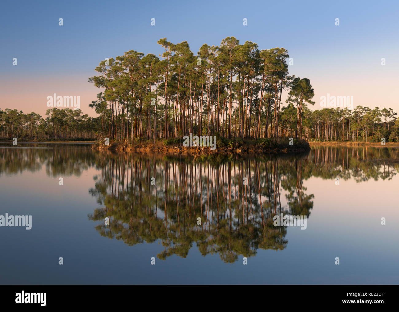 L'aube à long Pine Key Lake dans le parc national des Everglades près de Homestead, Floride Banque D'Images