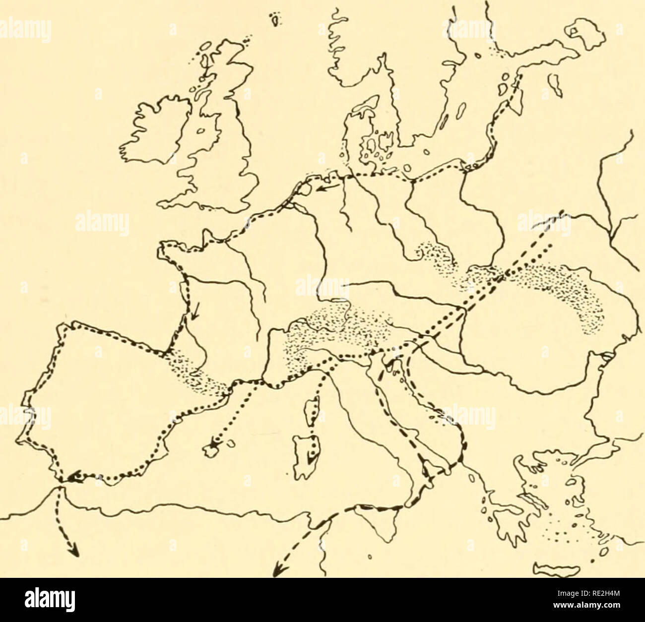 . Géographie animale écologique ; une édition autorisée, réécrite en fonction de Tiergeographie ockologischer auf Grundlage. Zoogéographie -- distribution géographique ; l'écologie animale. Les facteurs écologiques 397 sont déviés vers le haut ; il y a l'un voit régulièrement les mouettes planeur sans battre leurs ailes. Les zones où la pression barométrique faible est presque à l'arrêt, comme par exemple, le long de la côte est de la mer Adriatique ou sur la mer Tyrrhénienne, se caractérisent par des courants d'air ascendant. Les courants ascendants proviennent aussi par l'irradiation solaire dans les endroits où les zones à capacité thermique différentes résident dans un fermer Banque D'Images