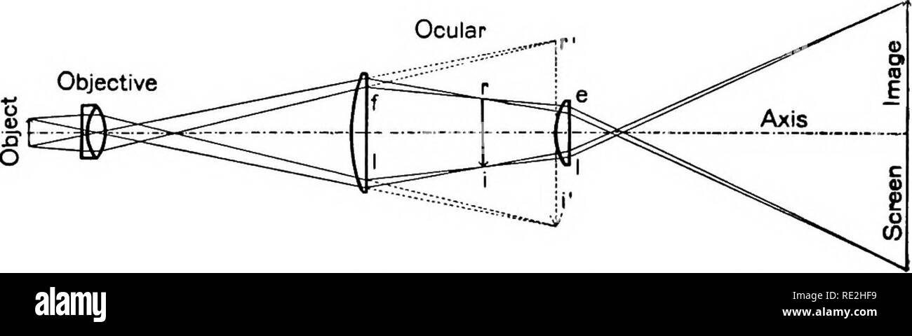 Micromètre Réticule Croix Pour Microscope Oculaire - Neuf, Mesure Précise