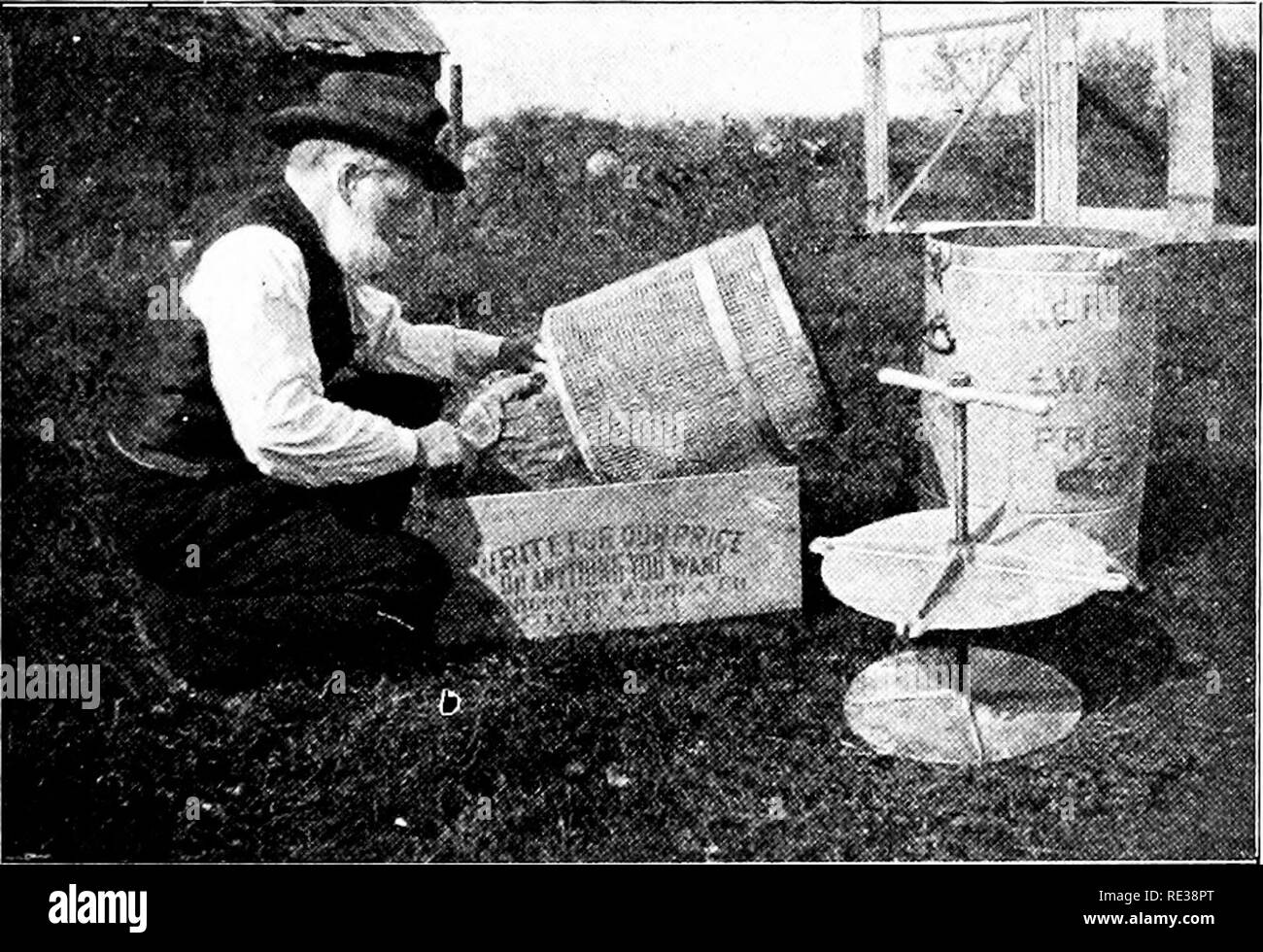 . Cinquante ans parmi les abeilles . Les abeilles. Cinquante ans PARMI LES ABEILLES 297 LAISSANT LA LUMIÈRE DANS LA CAVE. tiere est un menioi-andum le 14 mars 1902, écrit : "Au cours des huit jours, le temps a été anormalement chaud pour la saison, variant de 29 à 65 deg^rees. Les portes sont grandes ouvertes jour et nuit, sauf sur les deux jours les plus chauds, et la fenêtre (est) une partie du temps. Il y a trois jours c'était 65 degrés dans l'après-midi. Dans les vingt-quatre heures, le sol était couvert de neige, et^ hier matin s'établissait à 29 degrés au mercure. À 7 h, aujourd'hui, c'était 35. Fiij. 11)9-EmiityitKj Out Slum Banque D'Images . Cinquante ans parmi les abeilles . Les abeilles. Cinquante ans PARMI LES ABEILLES 297 LAISSANT LA LUMIÈRE DANS LA CAVE. tiere est un menioi-andum le 14 mars 1902, écrit : "Au cours des huit jours, le temps a été anormalement chaud pour la saison, variant de 29 à 65 deg^rees. Les portes sont grandes ouvertes jour et nuit, sauf sur les deux jours les plus chauds, et la fenêtre (est) une partie du temps. Il y a trois jours c'était 65 degrés dans l'après-midi. Dans les vingt-quatre heures, le sol était couvert de neige, et^ hier matin s'établissait à 29 degrés au mercure. À 7 h, aujourd'hui, c'était 35. Fiij. 11)9-EmiityitKj Out Slum Banque D'Images