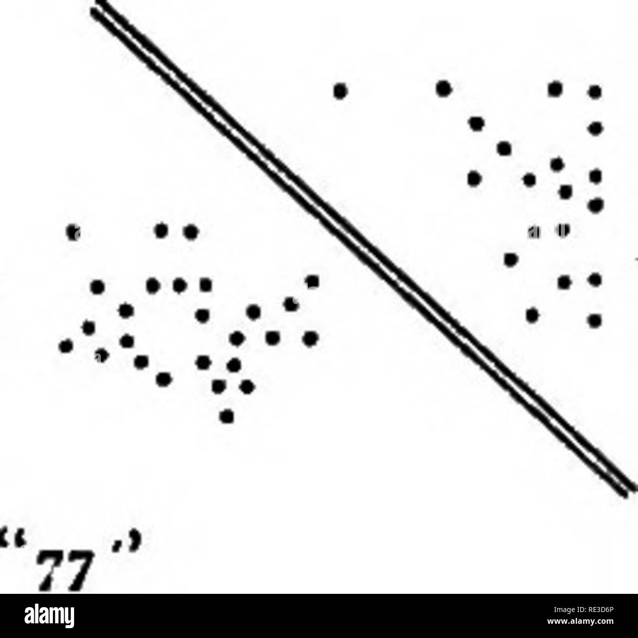 . Le plant de coton en Egypte, des études de physiologie et génétique. Le coton, le coton. VI III comme variétés commerciales se fait par mélange de semences est relativement peu importante par rapport à la contamination des ovaires par pollen étranger. Nous avons déjà mis l'accent sur la similitude des différentes variétés, et son roulement devient apparente. Un champ cultivé sous le nom de Afifi pourrait consister dans la réalité d'un mélange de cinq ou six variétés avec le stock d'origine, avec toutes les combinaisons et permutations de leurs gamètes multi- farious, mais la différence je Banque D'Images